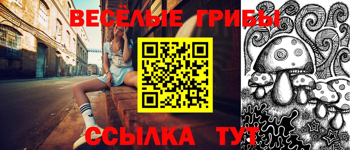 Галлюциногенные грибы GOLDEN TEACHER Спасск-Дальний